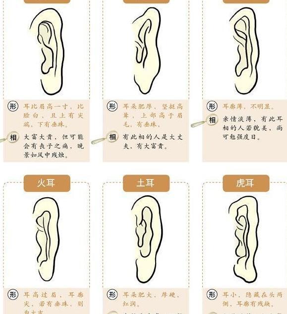 耳朵大的男人的命运【耳朵小的男人的命运,没有福气】