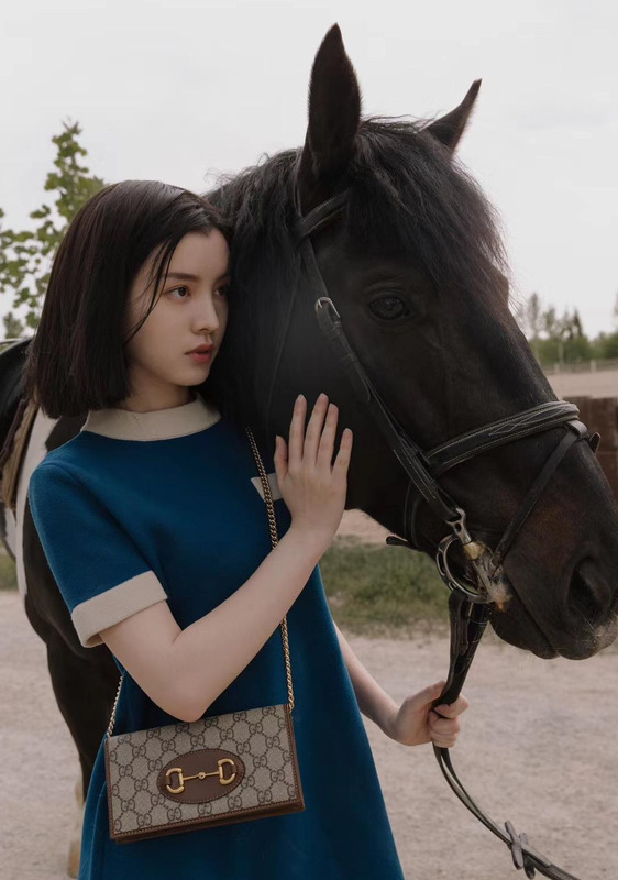 摘星阁需要多少摘星币【摘星阁是什么意思】