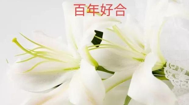 告别过去展望未来的文案【有关展望未来的文案】