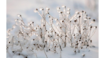 元旦去哪里旅游好玩三天【元旦三天适合去哪儿玩】
