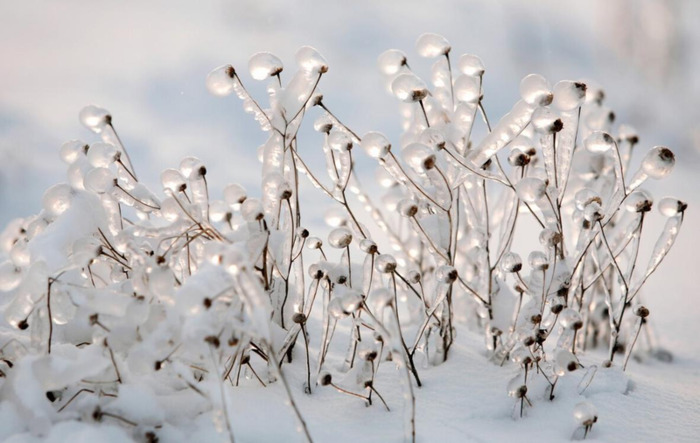 元旦去哪里旅游好玩三天【元旦三天适合去哪儿玩】