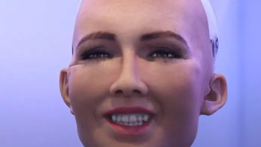 虐孕生产校园【虐孕生产机器人】