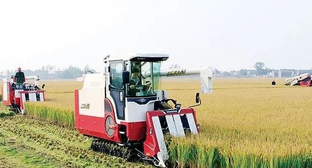 魏家凉皮加盟费最少多少钱【魏家凉皮加盟费条件】