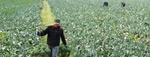 魏家凉皮加盟费最少多少钱【魏家凉皮加盟费条件】