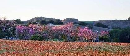 魏家凉皮加盟费最少多少钱【魏家凉皮加盟费条件】