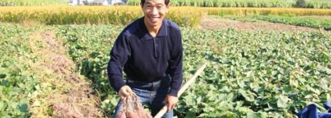 魏家凉皮加盟费最少多少钱【魏家凉皮加盟费条件】