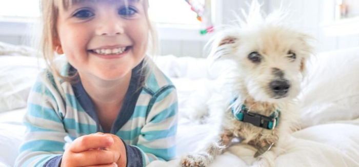 婴幼儿语言能力训练【幼儿的语言训练】