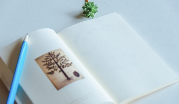 赞美一个人写作水平高描写生动可以用【赞美一个人写作水平高醍】