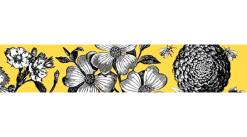 线条图案图片大全简单【线条图片大全简单漂亮】