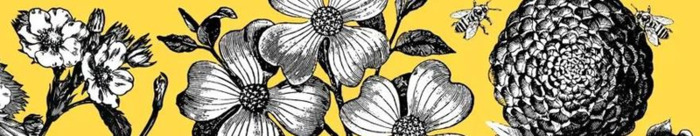 线条图案图片大全简单【线条图片大全简单漂亮】