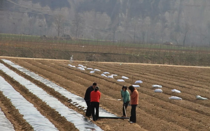 金牌卖家售假【金牌店铺有假货吗】