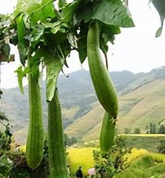 和而不同议论作文发言稿【君子和而不同议论作文素材】