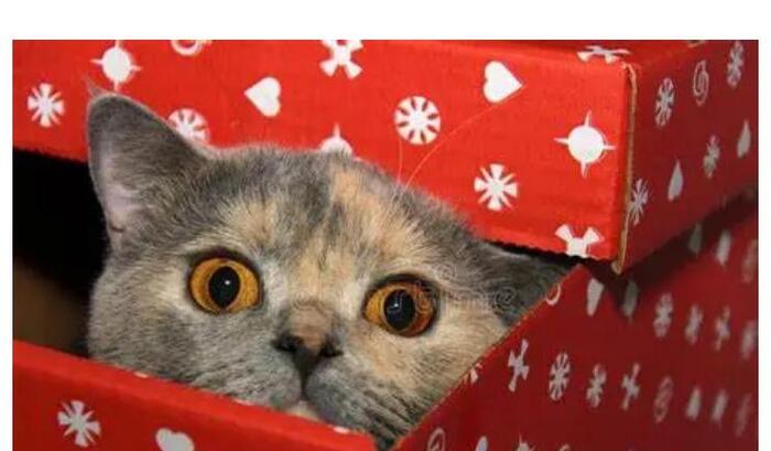 送领导礼物怎么说比较好英文【送领导礼物怎么说合适】