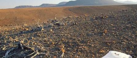 李自成人生简介【李自成是哪个朝代的?】