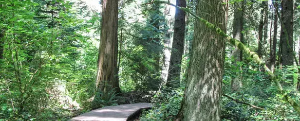 土豪社区卡密自助下单【土豪社区注册】