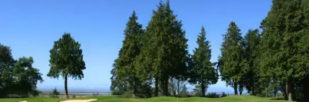 土豪社区卡密自助下单【土豪社区注册】