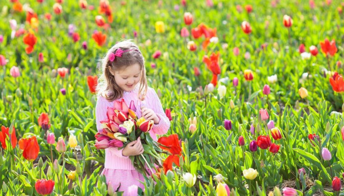 珺用在名字里好不好【珺字做名字好吗】