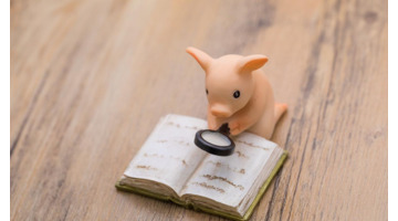 本命年穿的红色内衣内裤要家人给买吗【本命年红色内衣内裤应该谁送】