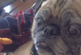 圣诞节红包发多少闺蜜【圣诞节红包发多少了】