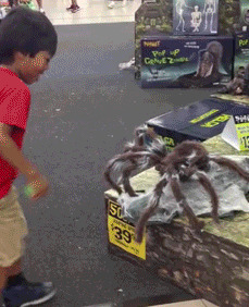 圣诞节红包发多少闺蜜【圣诞节红包发多少了】