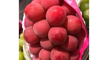 紫云母有收藏价值吗多少钱一克【紫云母的价值】