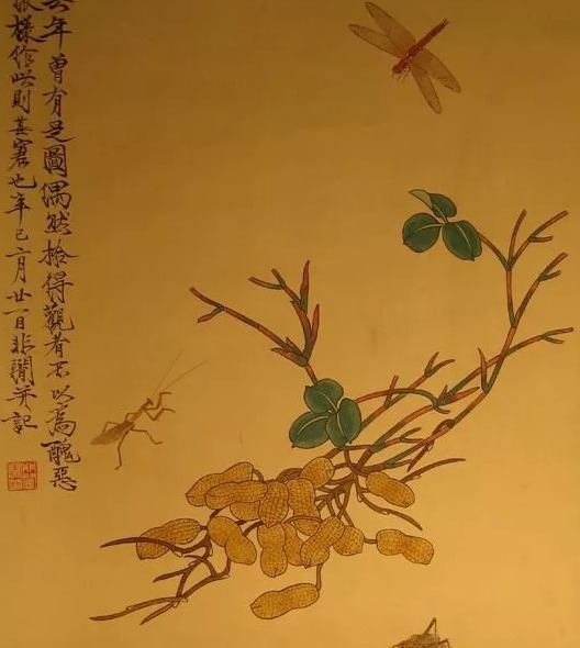 佩戴花生吊坠的寓意【翡翠花生吊坠的寓意】