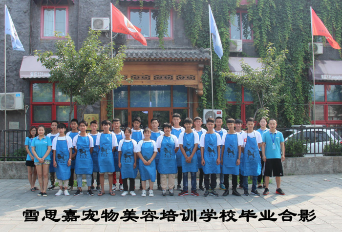 开宠物店要学多久【宠物店开店培训】