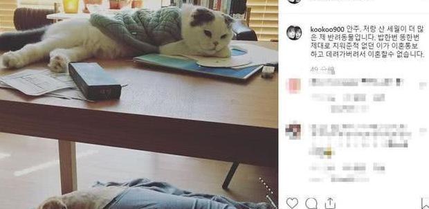 安宰贤具惠善事件始末 新闻【具惠善和安宰贤事件始末】