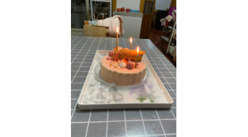 12岁生日祝福语女孩子四字【12岁生日祝福语女孩子发朋友圈】