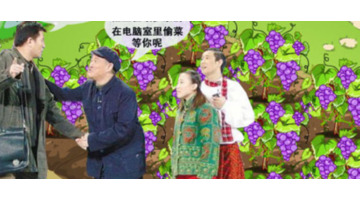 我的世界怎么种菜视频【我的世界怎么种菜快】