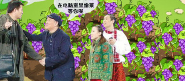 我的世界怎么种菜视频【我的世界怎么种菜快】