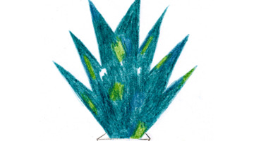 女人跑步的唯美句子和大神跑【女人跑步的唯美句子 英文】