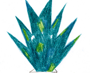 女人跑步的唯美句子和大神跑【女人跑步的唯美句子 英文】