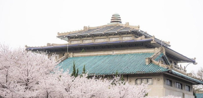 中国哪里樱花多【中国哪个城市樱花最多】