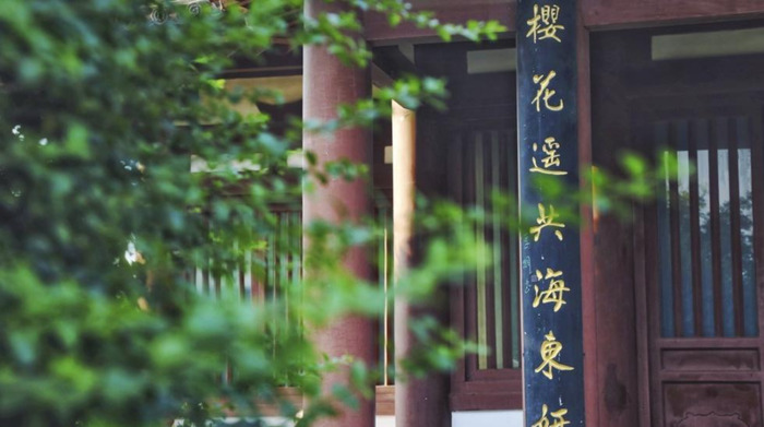 中国哪里樱花多【中国哪个城市樱花最多】