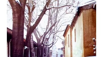 我爱冬季800字作文初二【我爱冬季作文500字左右】