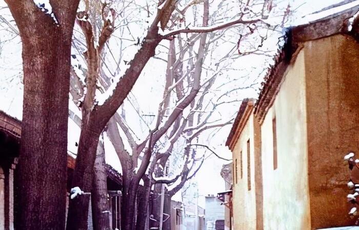 我爱冬季800字作文初二【我爱冬季作文500字左右】