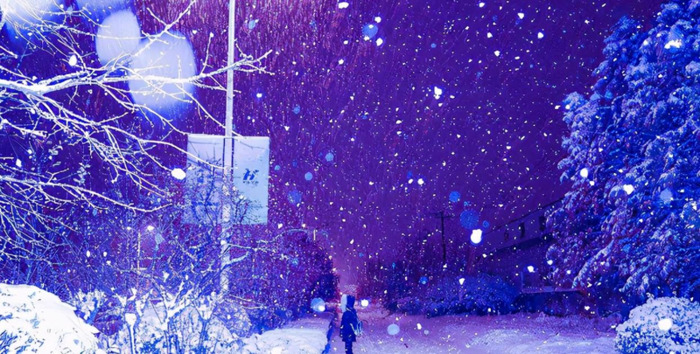 我爱冬季800字作文初二【我爱冬季作文500字左右】