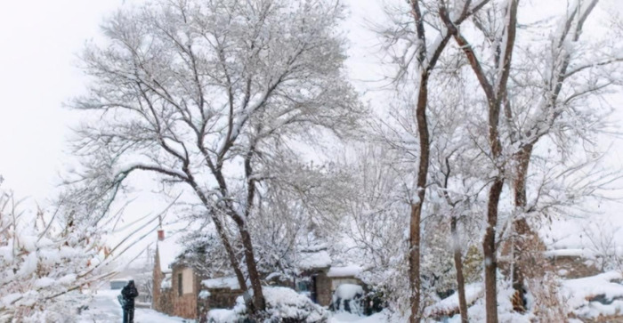 我爱冬季800字作文初二【我爱冬季作文500字左右】