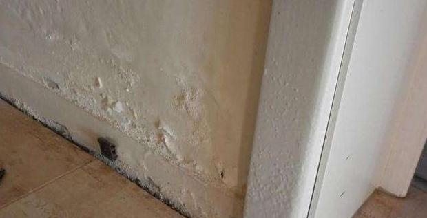 浴室岩板一体盆和陶瓷盆哪个好【陶瓷盆和岩板盆哪个好】