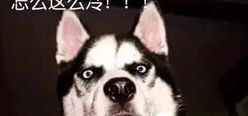 南北方冷的搞笑话语【南方人和北方人冷的搞笑句子】