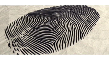 一个斗都没有是什么【一个斗都没有是什么命】