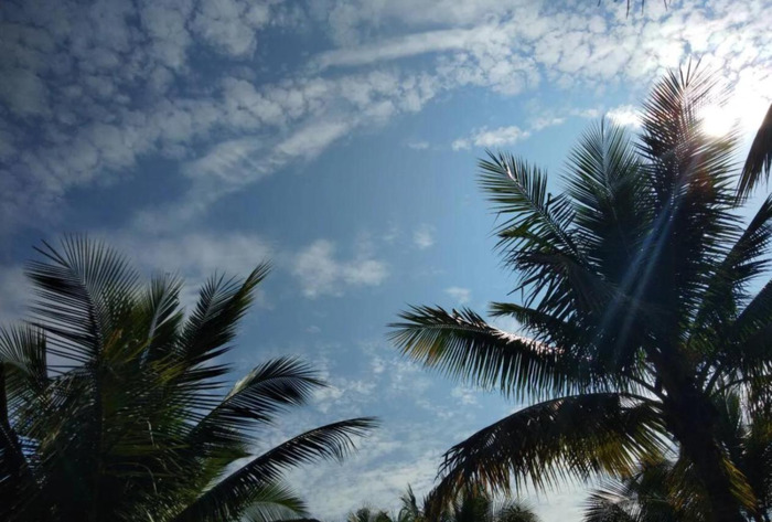 关于落日晚霞的文案【描写晚霞的文案】