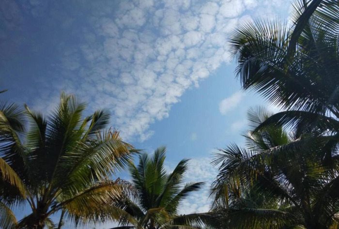 关于落日晚霞的文案【描写晚霞的文案】