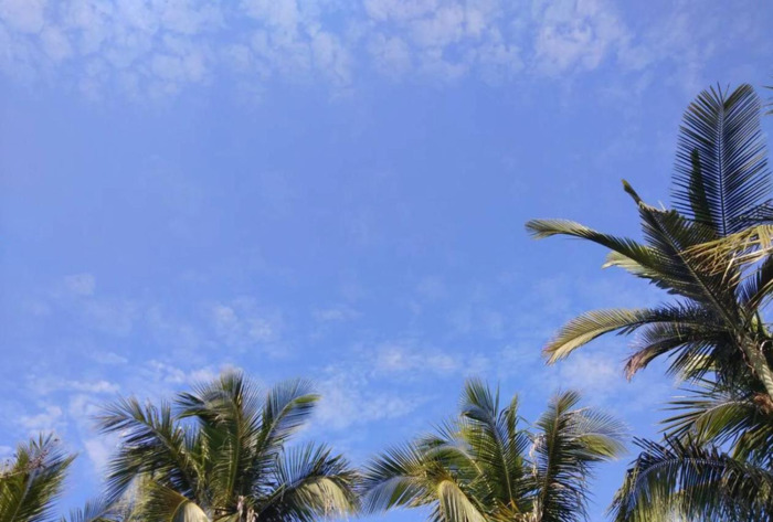 关于落日晚霞的文案【描写晚霞的文案】