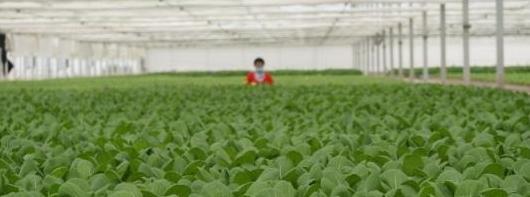 舟曲县搬迁兰州新区最新消息【兰州新区最新招聘信息】