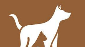 设计原理名词解释【设计原理基础知识】