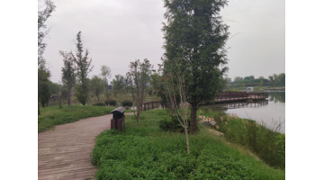 国庆随笔200字【国庆随笔800字高中】