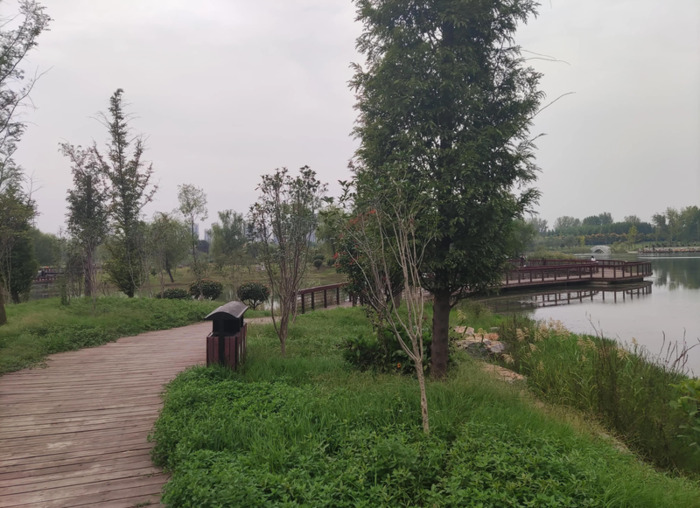 国庆随笔200字【国庆随笔800字高中】