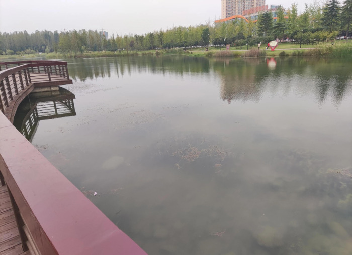 国庆随笔200字【国庆随笔800字高中】